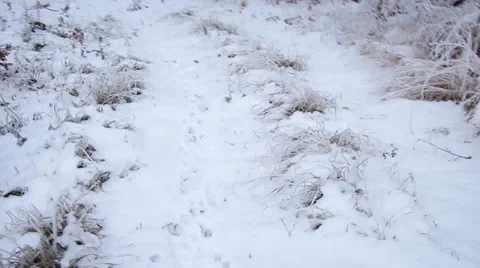 Running away Stock Footage 34249461