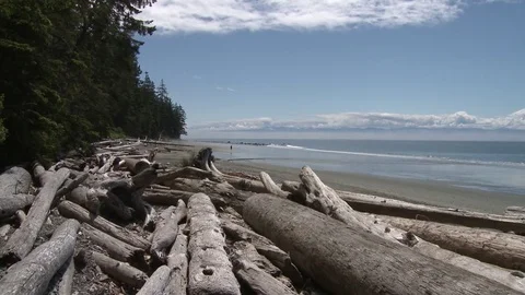 Running on the beach (2 clip sequence) Stock Footage 75241353