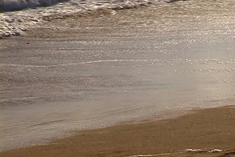 Running on the Beach Stock Footage