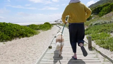 Running to beach Stock Footage 81483665