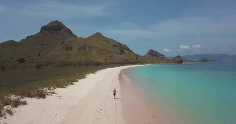 Running on the beach 库存影片 141848292