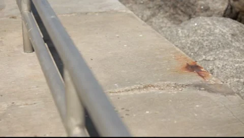 Running Bird 스톡 동영상 7132288