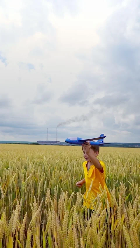 Running boy with toy plane.  Stock Footage 303441246