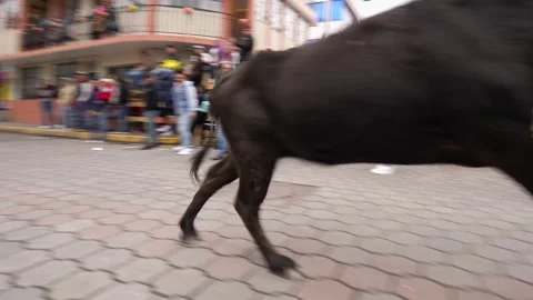 Running of the bulls through the streets. Toros de Pillaro Ecuador 2023_8.mov Stock-Footage 335814587