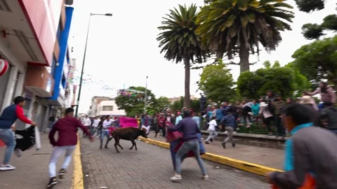 Running of the bulls through the streets. Toros de Pillaro Ecuador 2023_20.mov Vídeos de archivo 335814732