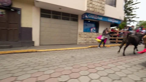 Running of the bulls through the streets. Toros de Pillaro Ecuador 2023_23.mov Vídeos de archivo 335814739