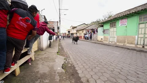 Running of the bulls through the streets. Toros de Pillaro Ecuador 2023_40.mov Stock-Footage 335814895