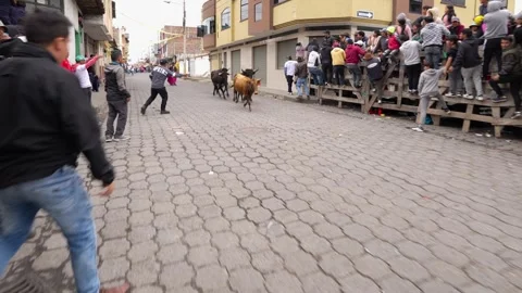 Running of the bulls through the streets. Toros de Pillaro Ecuador 2023_45.mov Stock-Footage 335814920