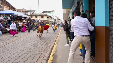 Running of the bulls through the streets. Toros de Pillaro Ecuador 2023_2.mov Stock-Footage 335814942
