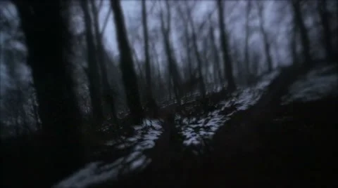 Running in bush 스톡 동영상 40000640