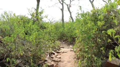 Running with camera Stock Footage 69874586