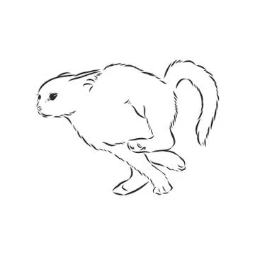Running Cat. Vector Black Sketch Feline Illustration, running cat vector sket イラスト素材