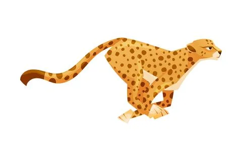 Running Cheetah as African Large Cat with Long Tail and Black Spots on Coat Stock Illustration