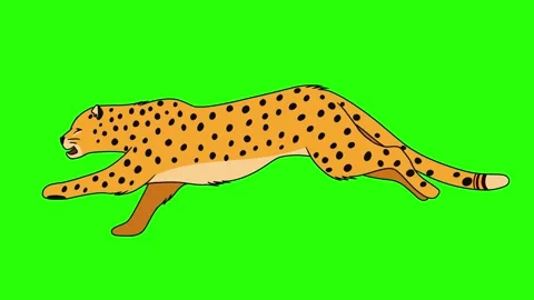Running Cheetah Animation. Stock Footage 265817619