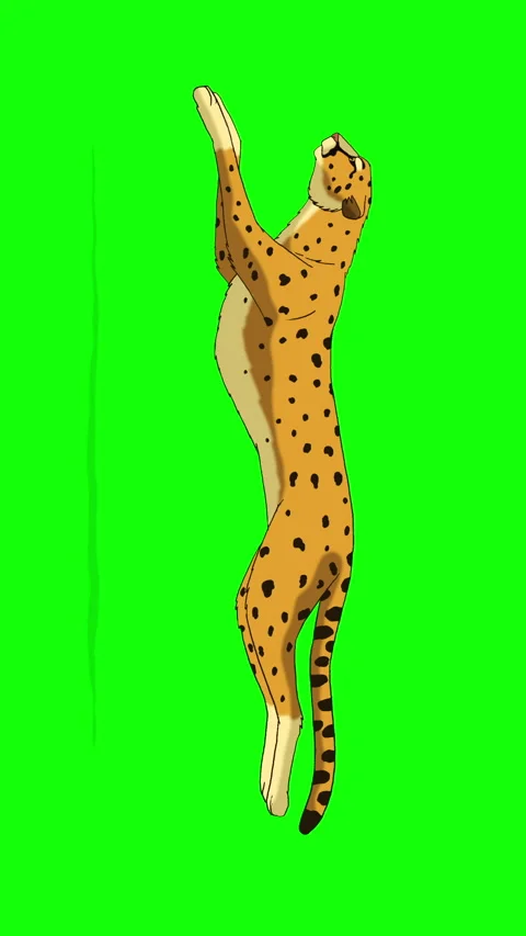 Running Cheetah on Green Screen Background. 2D animation Vertical video Stock Footage 312723909