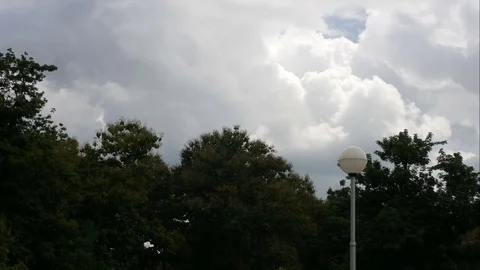 Running cloud over the tropical forest canopy and street lamp Stock Footage 81402149