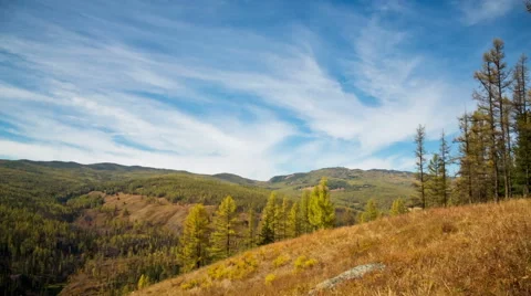Running Clouds With Mountain and Trees Stock Footage 49410526