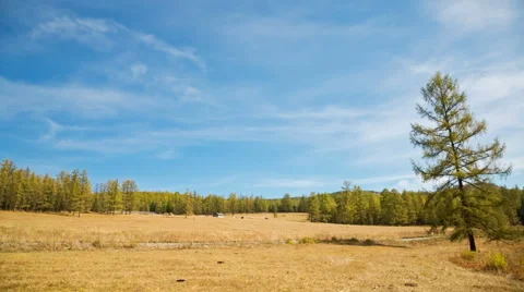Running Clouds With Mountain and Trees Stock Footage 49410668