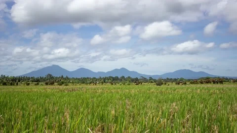 Running Clouds Over Rice Fields in Bali Time Lapse Stock Footage 158649207