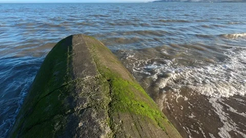 Running on a concreate pipe to the sea Video stock 184684359