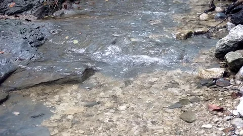 Running Creek Stockbeeldmateriaal 79331827