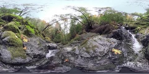 Running creek in a forest 360 VR Stock Footage