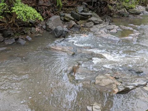 Running creek 스톡 사진