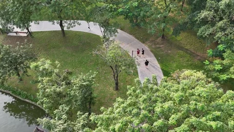 Running crew in the park Stock Footage 295299289