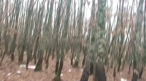 Running desperately in the woods Stock Footage 10788510
