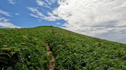 Running up a dirt track to a hill summit in summer Stock Footage 243885527