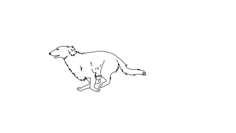 dog running sketch
