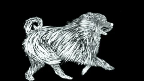 Running dog animation Stock Footage 171715351