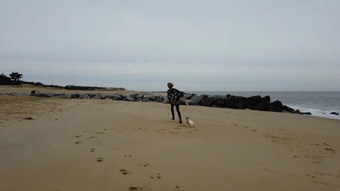 Running with the dog on the beach Stock Footage 101733292