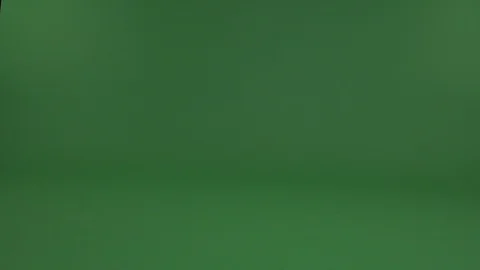 Running dog Stock Footage 103038402