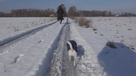 Running with dog Stock Footage 149218341