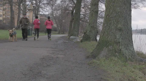 Running with Dogs Stock Footage 33787952