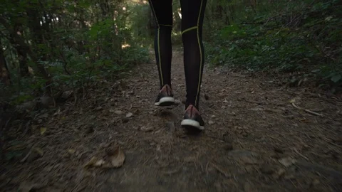 Running down the forest path. Female jogger running in the morning during sunny Stock Footage 117684200