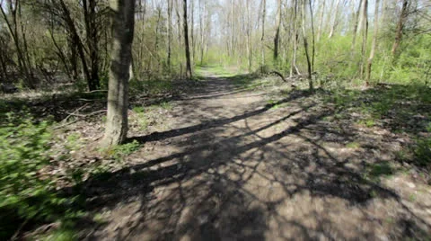 Running down path in woods Video stock 22778991
