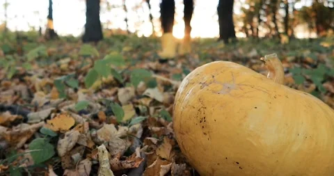 Running in enchanted woods alone Stock Footage 162612003
