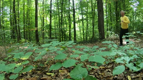 Running exercise Stock Footage 171537165