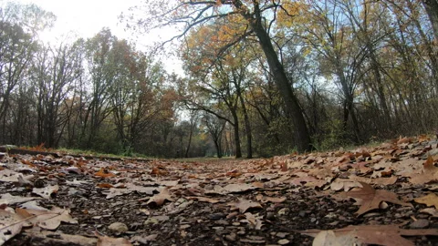 Running exercise Stock Footage 171538819