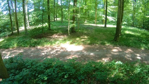 Running exercise in the forrest shot from high angle view Stock Footage 98130479
