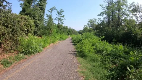 Running fast on a road surrounded by nature 1080 Stock Footage 115546617