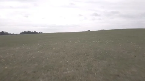 Running on a field on a cloudy spring 1080 ungraded Stock Footage 105953510