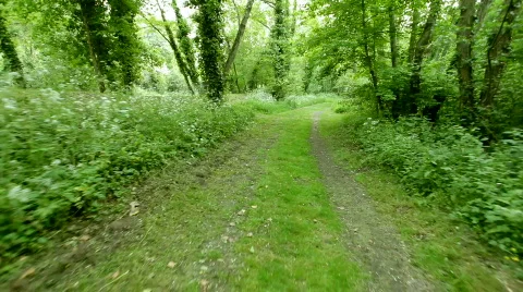 Running in forest Stock Footage 714196