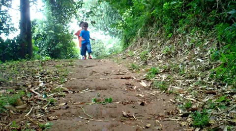 Running in The Forest Stock Footage 37272746