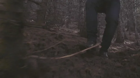 Running in forest 動画素材 62906387