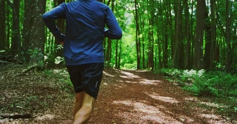 Running in the Forest Stock Footage 81537089