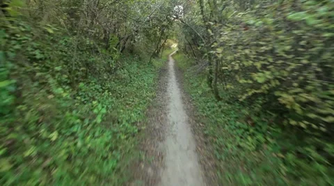 Running in forest path Stock Footage
