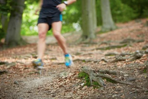 Running in forest Stock Photos